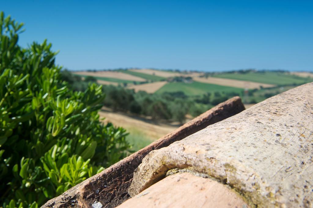 Poggio Antico Apartamento Monte San Vito Exterior foto