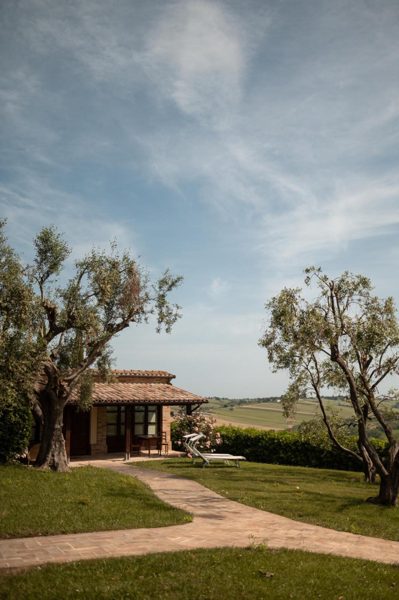 Poggio Antico Apartamento Monte San Vito Exterior foto