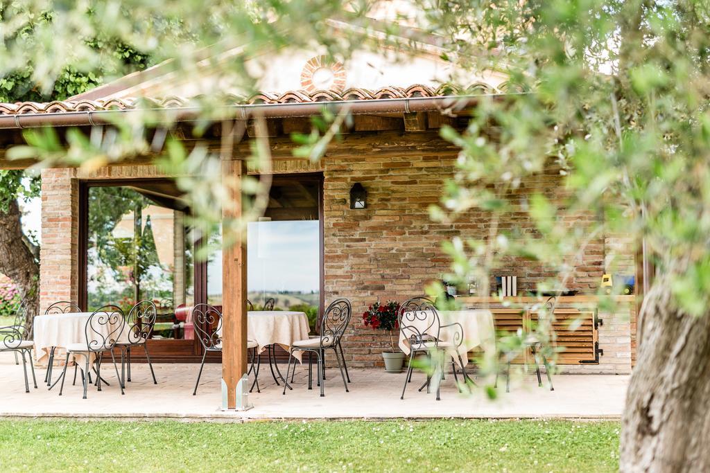Poggio Antico Apartamento Monte San Vito Exterior foto