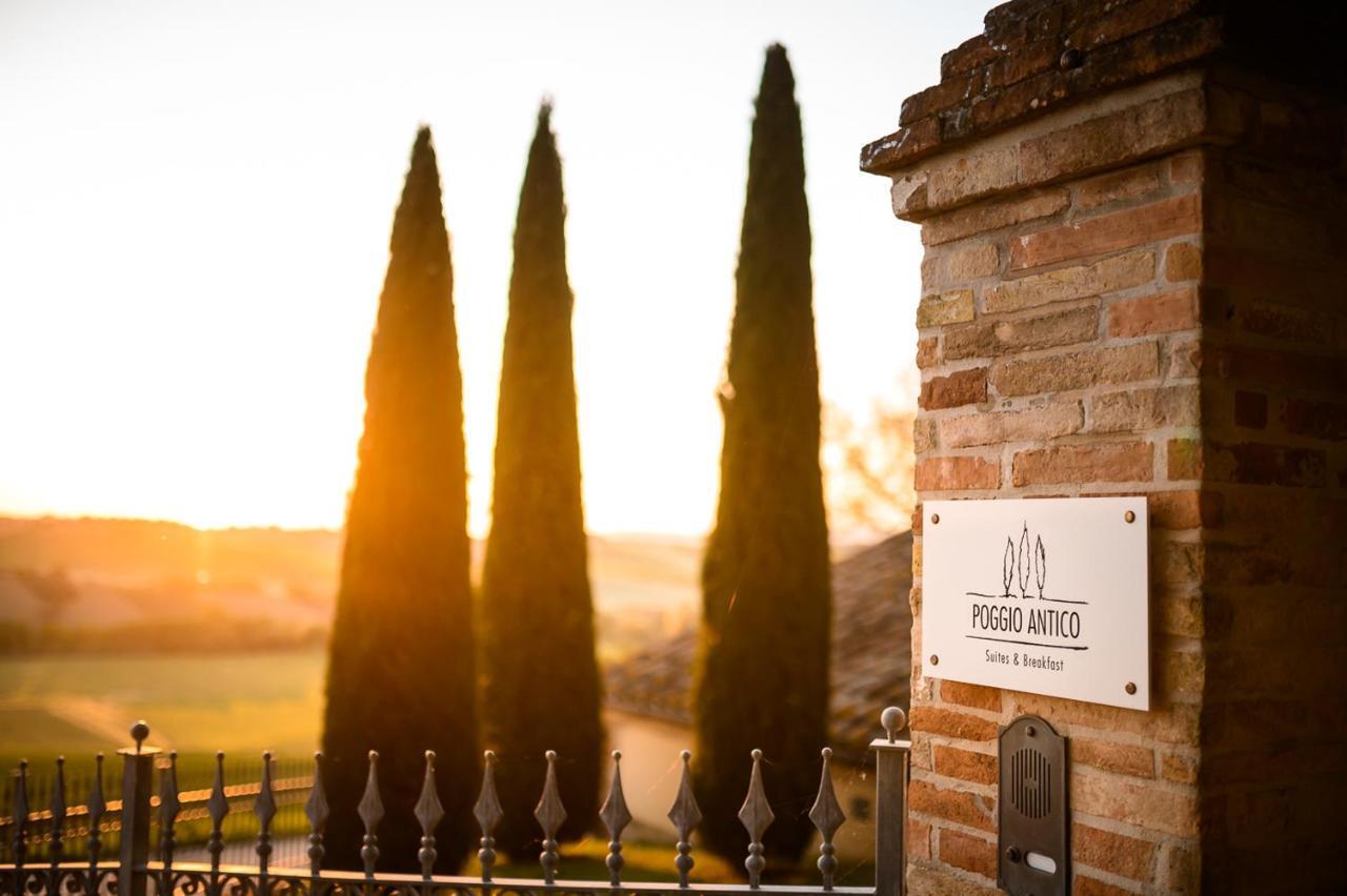 Poggio Antico Apartamento Monte San Vito Exterior foto